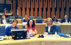 4. jul 2014. Delegacija Narodne skupštine na sastanku administrativnih komisija parlamenata zemalja u regionu